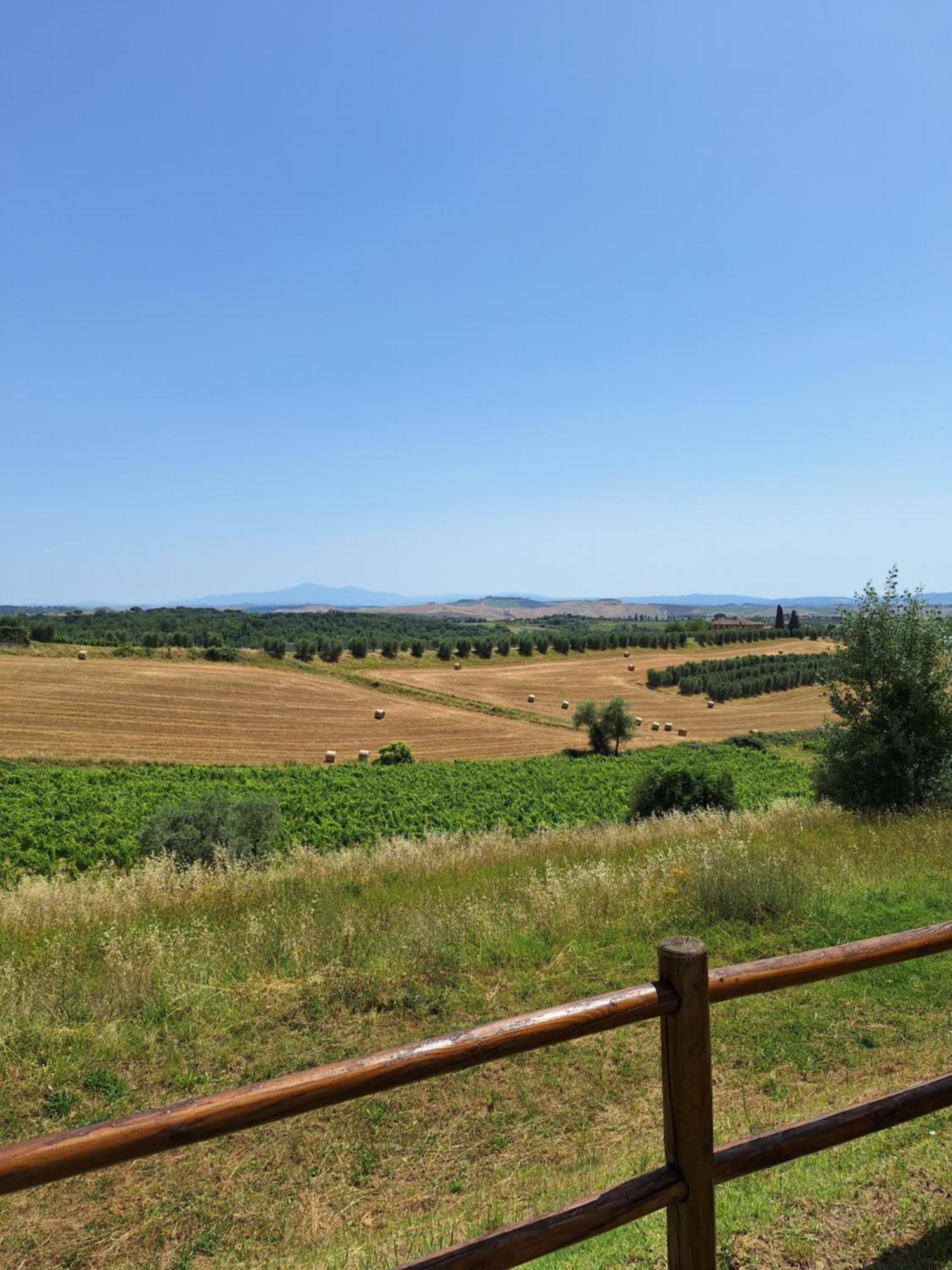 Casa Paola Nel Chianti Bed and Breakfast Castelnuovo Berardenga Eksteriør billede